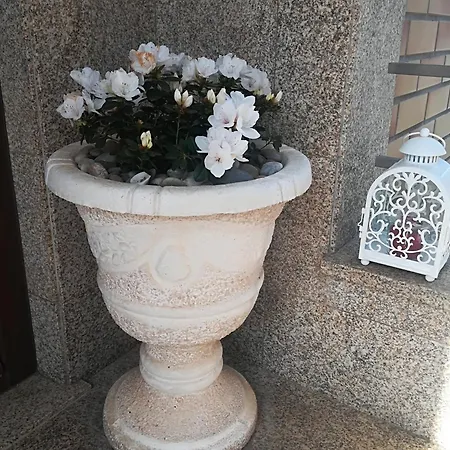 Casa Do Sol - Entre O Mar E O Pinhal 펜션